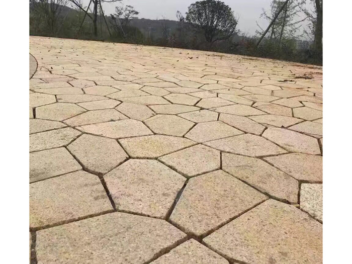 5388943233253916.jpg