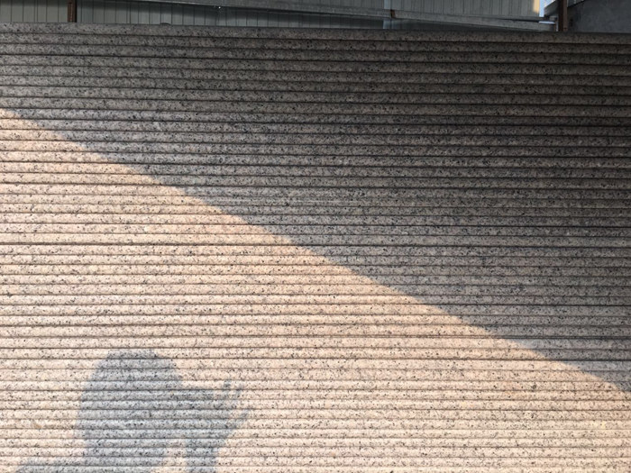 65814425586903186.jpg